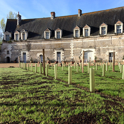 Découvrir la château Château médiéval cour et vigne vus de l'est intérieur