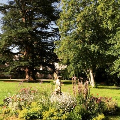 Cour d'honneur chateau de selles sur cher petit amour et cèdre