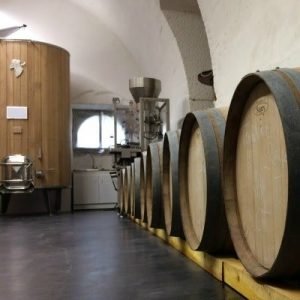 Alignement de fûts de chêne au château de Selles sur Cher