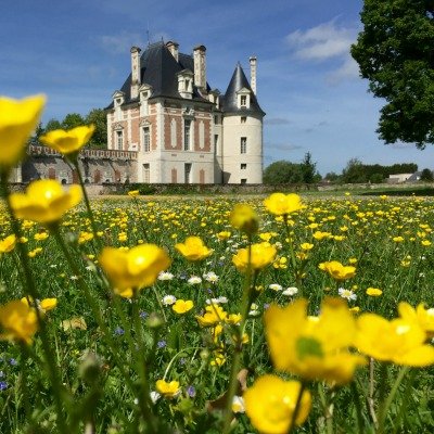 Le parc du château au printemps