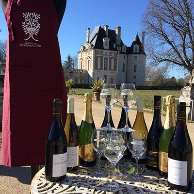 Les vins du château de Selles sur Cher