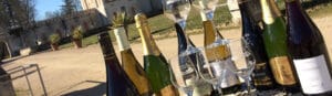 boutique vins château de Selles sur Cher