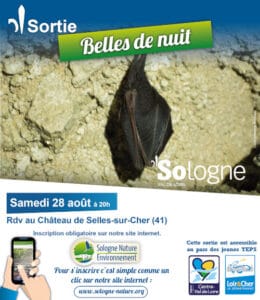nuit internationale des chauves souris au château de Selles sur Cher