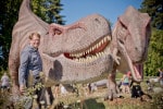 Nicolas Mazzesi Dashanpu parc de dinosaures